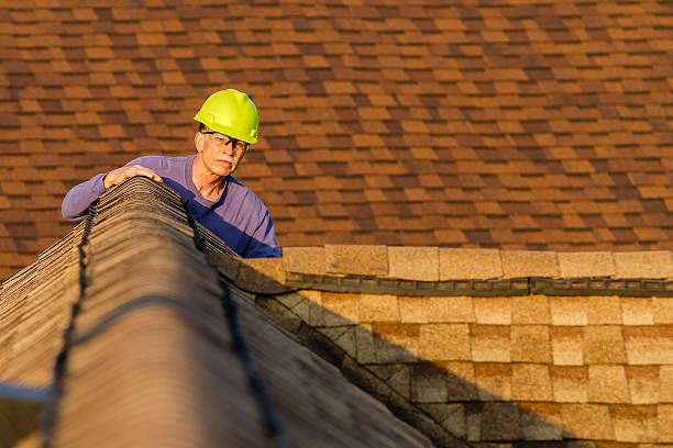 Best Metal Roofing Contractor  in Forest Lake, MN