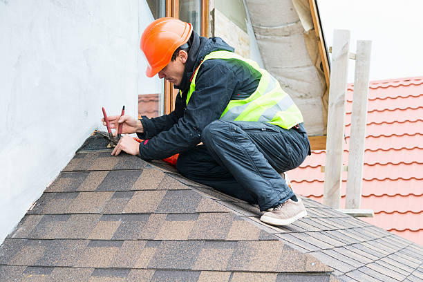 Best Roof Maintenance Services  in Forest Lake, MN