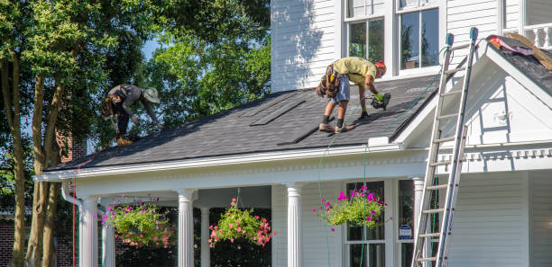 Roof Gutter Cleaning in Forest Lake, MN